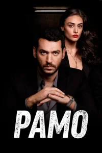 Рамо турецкий сериал