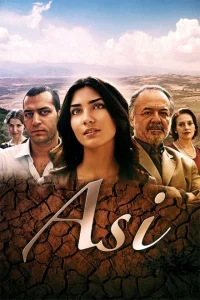 Аси турецкий сериал