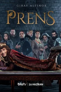 Принц турецкий сериал