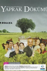 Листопад турецкий сериал