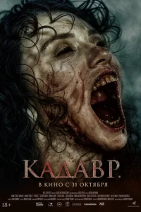Кадавр турецкий сериал