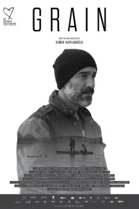 Зерно турецкий сериал